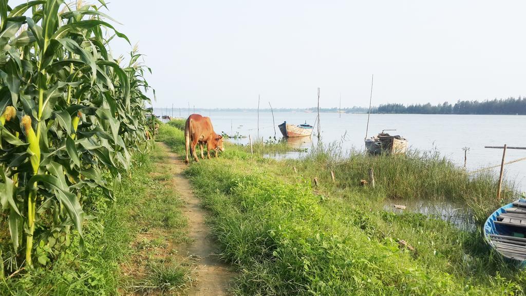 Riverside Hamlet Homestay & Villa Hoi An Esterno foto